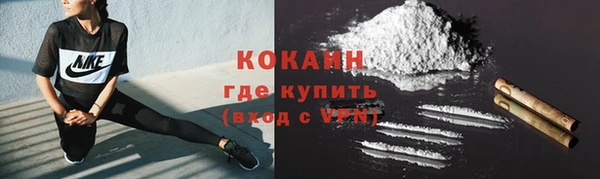 ALPHA PVP Остров