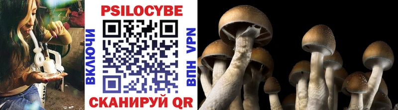 Галлюциногенные грибы Magic Shrooms Нахабино